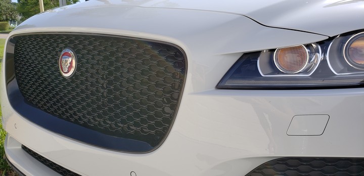 jaguar