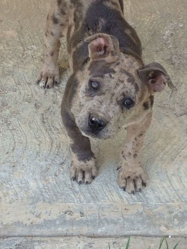 ♥️♥️♥️
