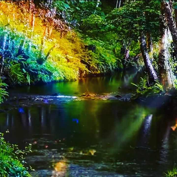 Universal Magically Land scapes