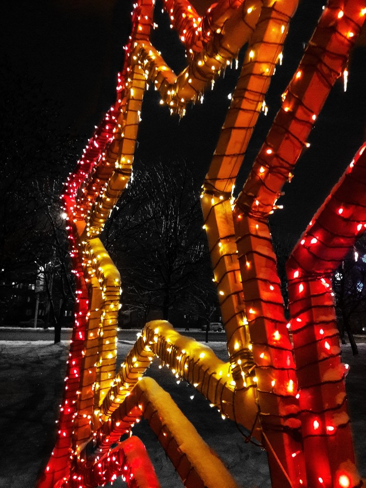 Christmas lights
