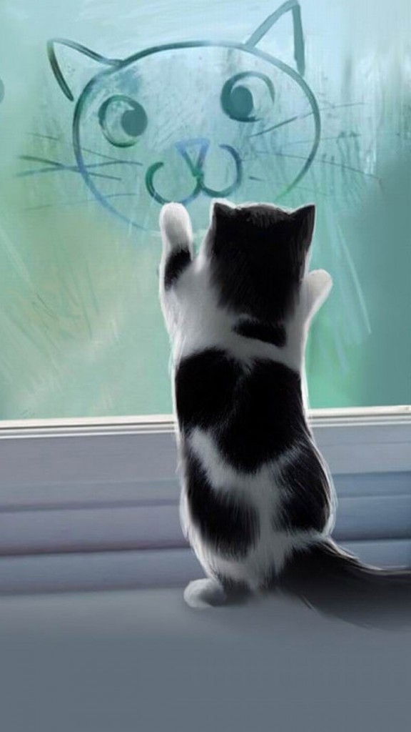 The cat