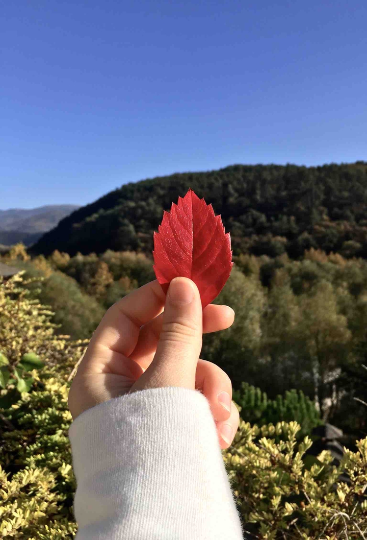 november colors