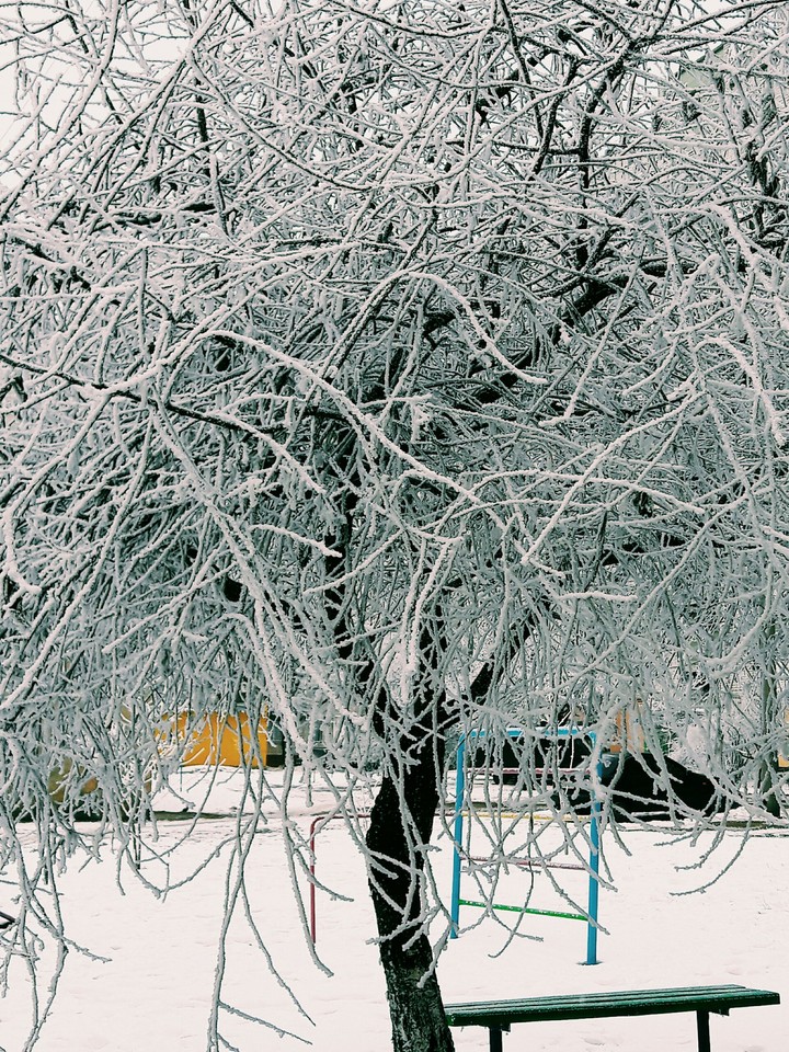 winter is beautiful