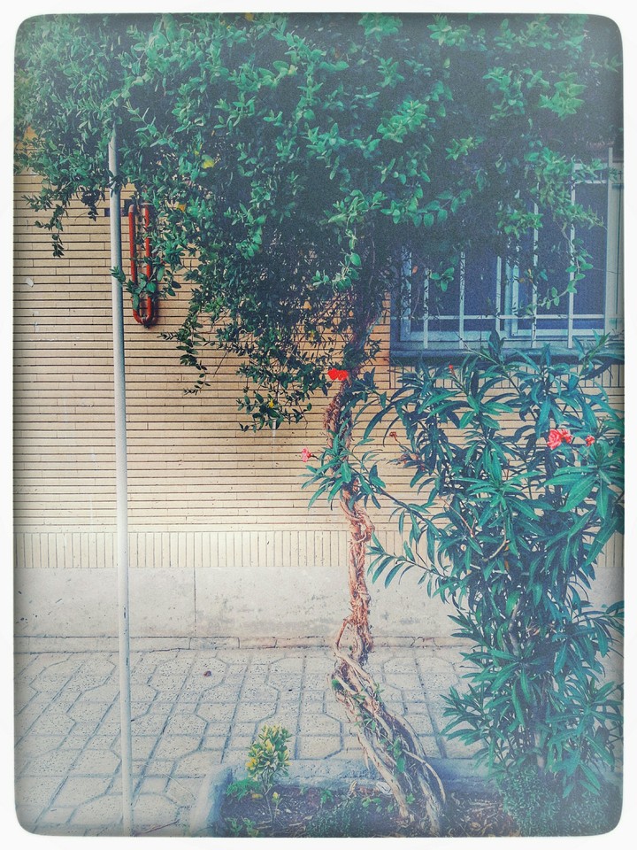 دم در...