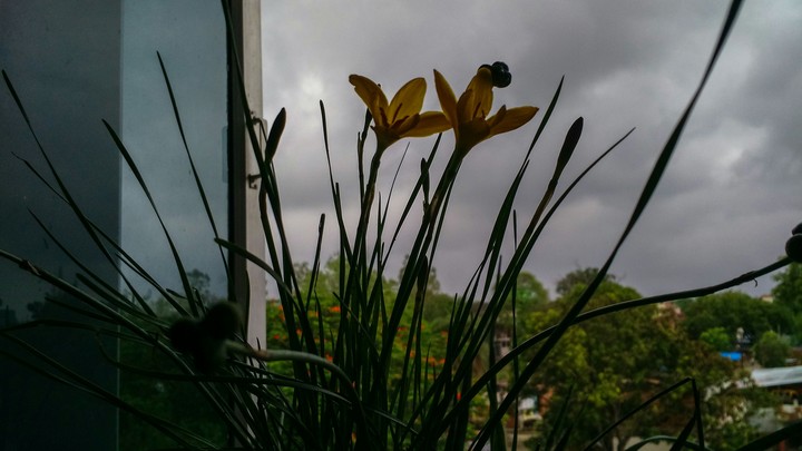 Stormy day