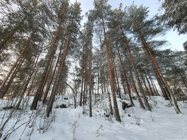 Декабрь