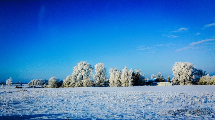 winter scene