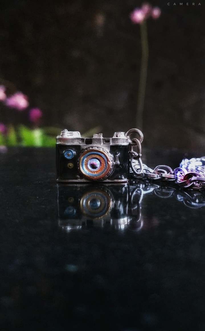 camera