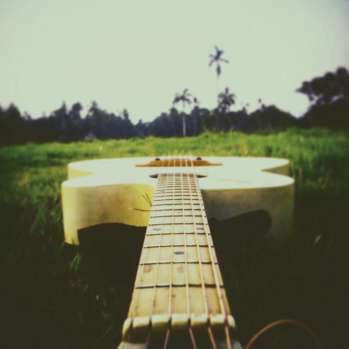 musical nature