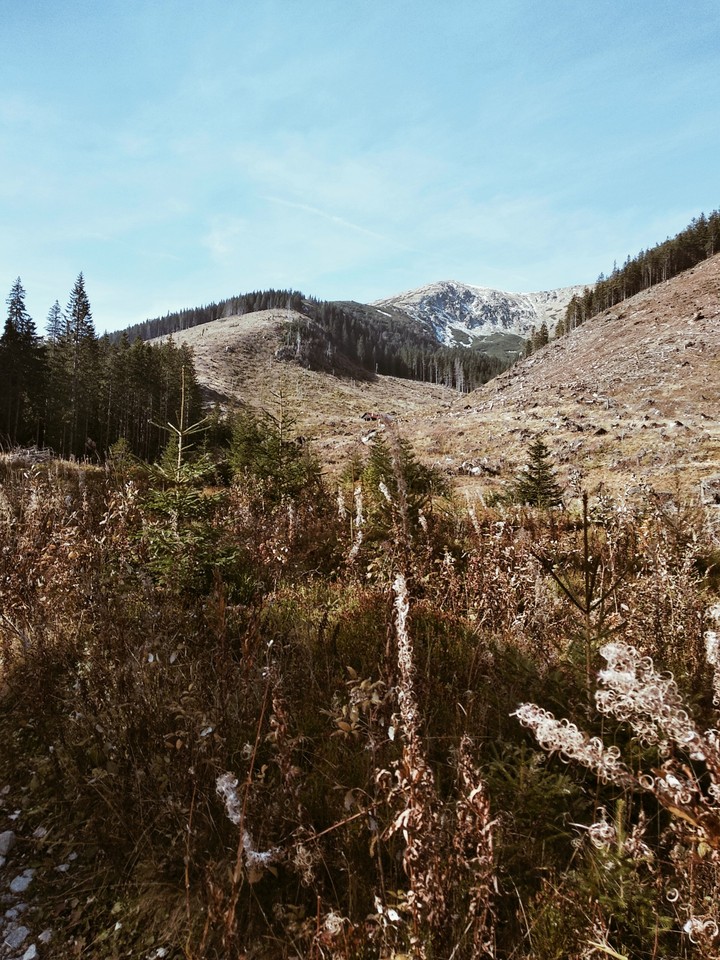 Mountains