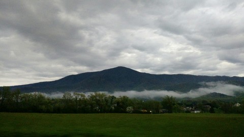Fog
