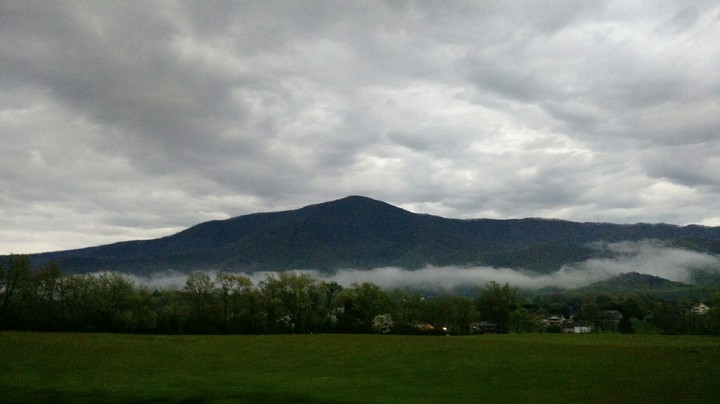 Fog