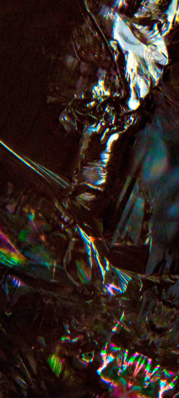 ⠀