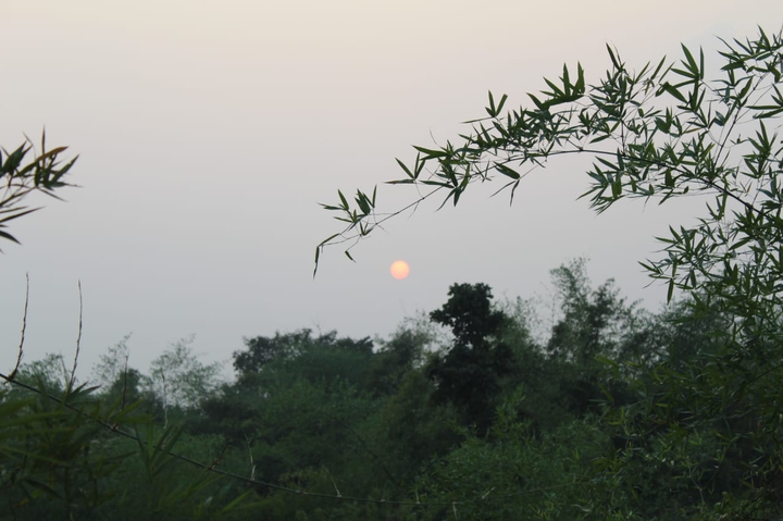 the calm of nature...