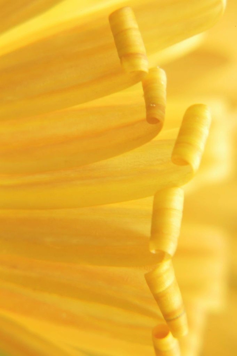penne, cuisine achtergronden