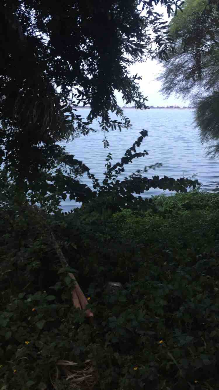 lake view