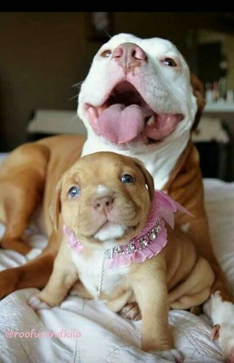 Sweet❤