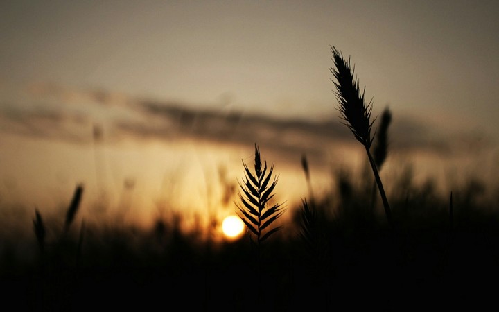 senja