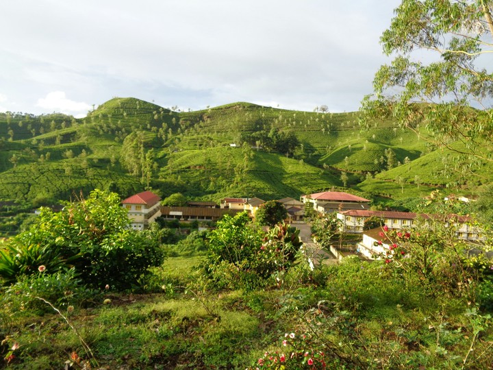 Munnar Hills