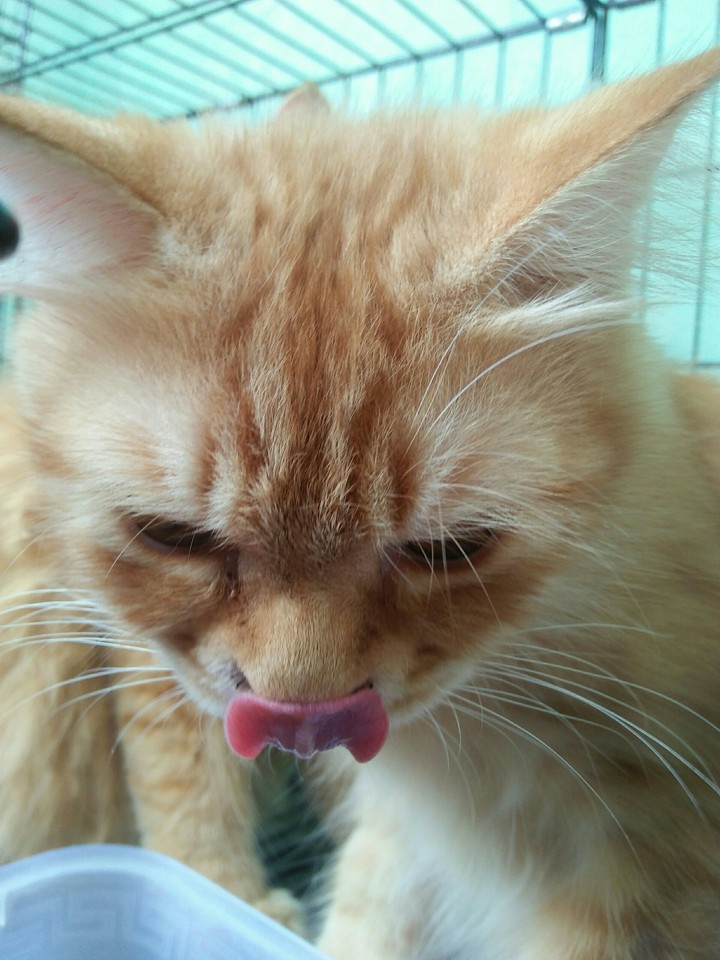 yummy