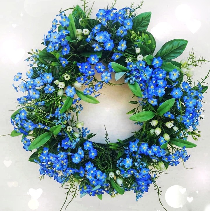 forget-me-not