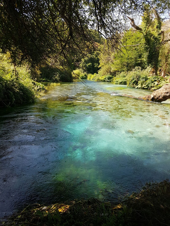 syri kalter Albania
