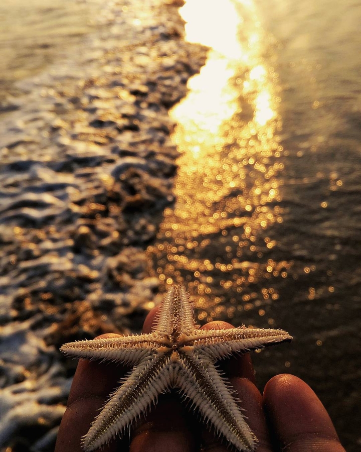 in beach