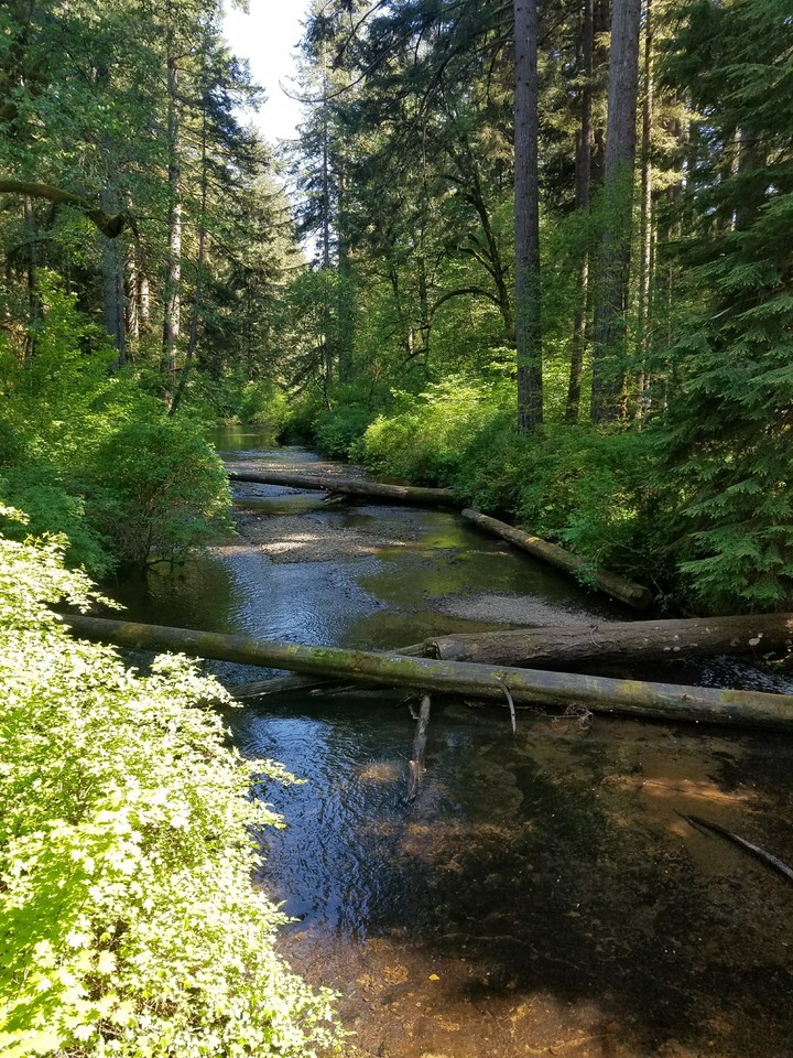 My happy place