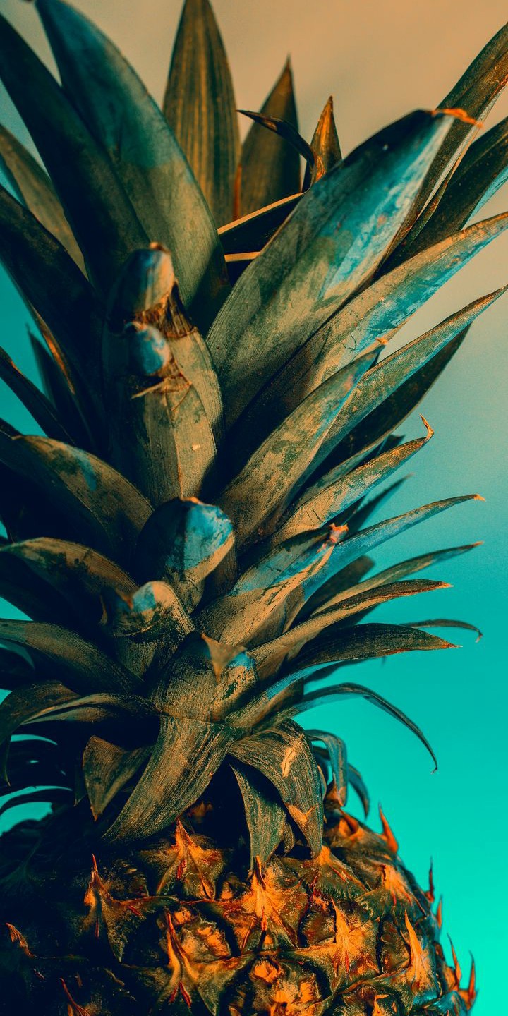 Blue Pineapple