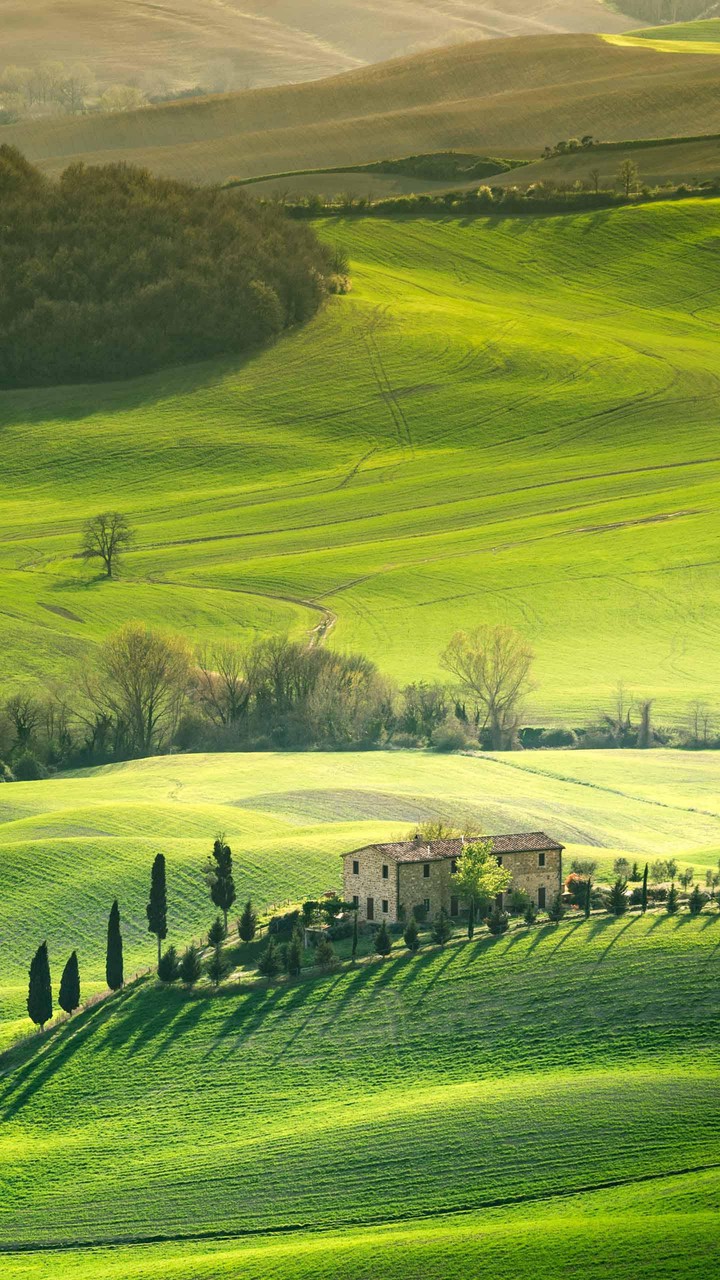 Green vally