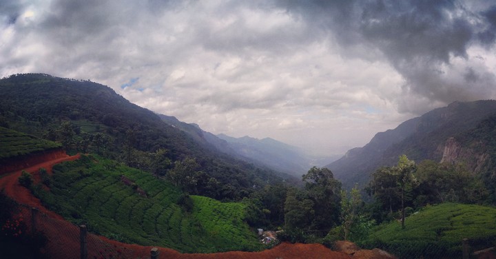 hills grew greenery