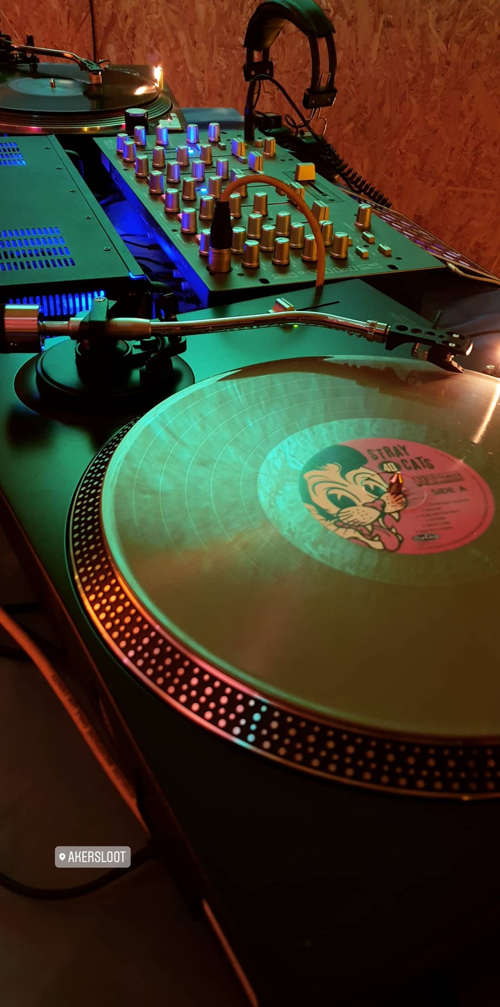 vinyl