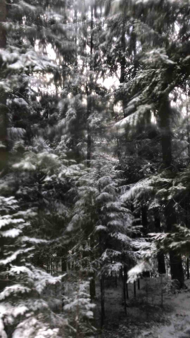 Let it snow