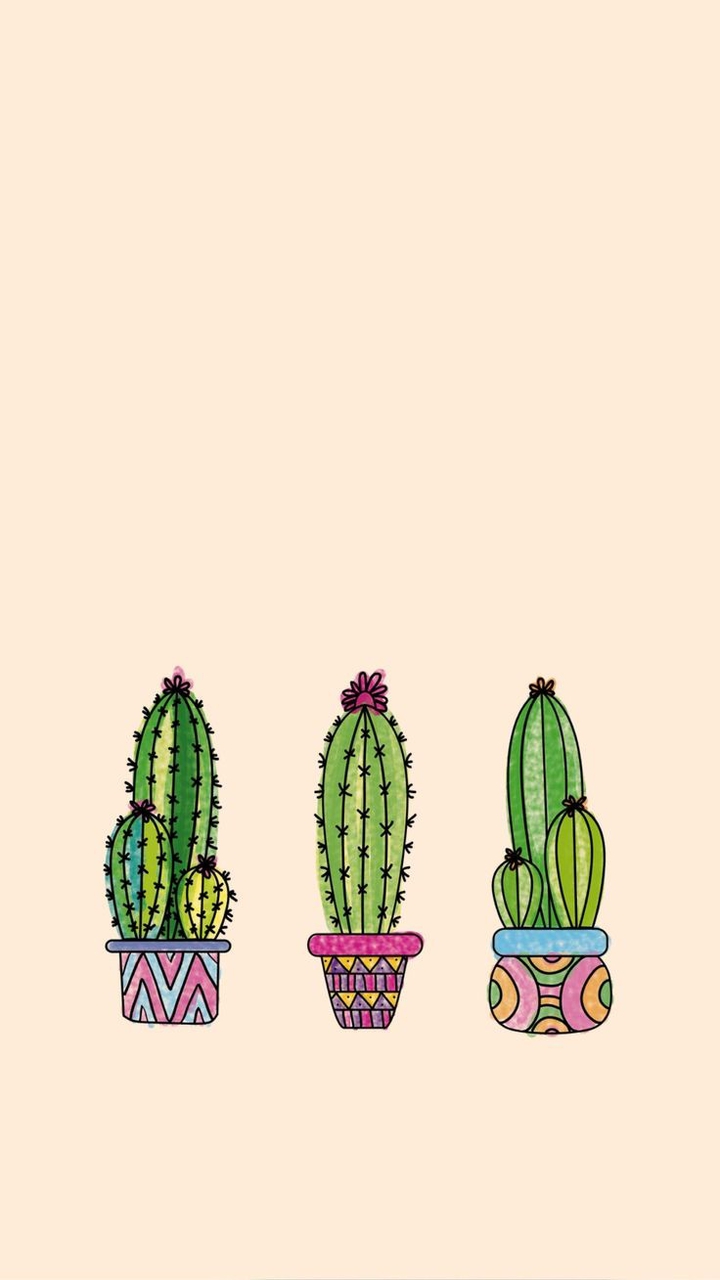 Cactus