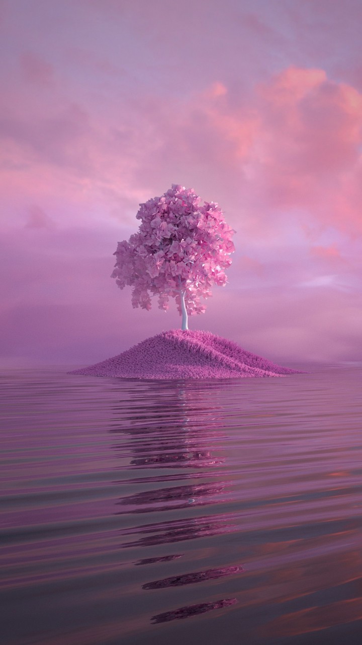 sea