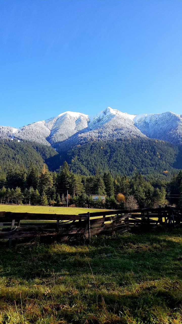 snow covered Alps