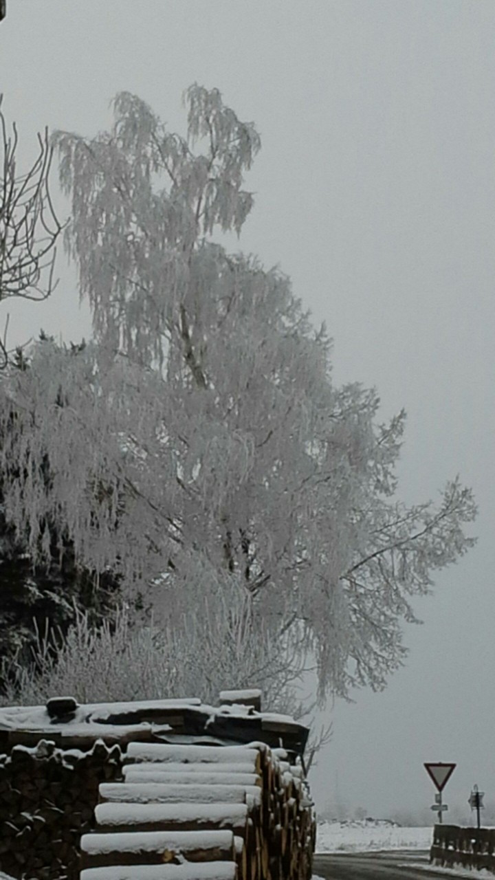 Winterzauber❄