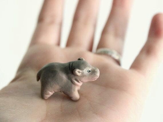 toy