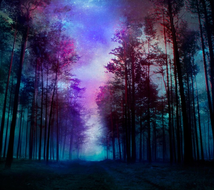 landscape