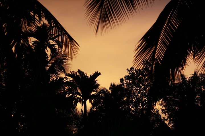 Evening