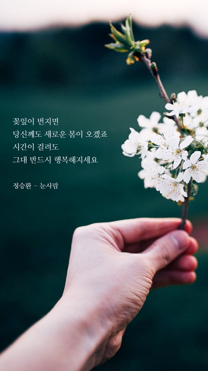 눈사람