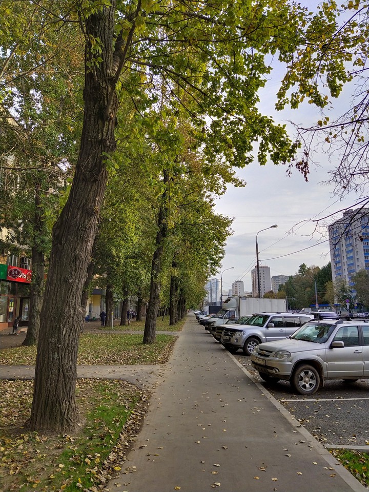 street