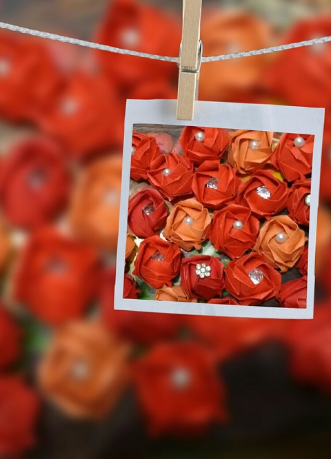 rosas preciosas