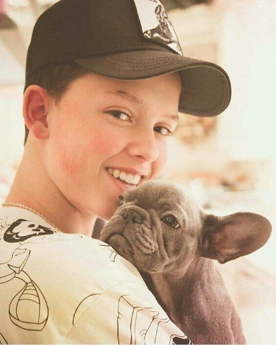 Son premier chien