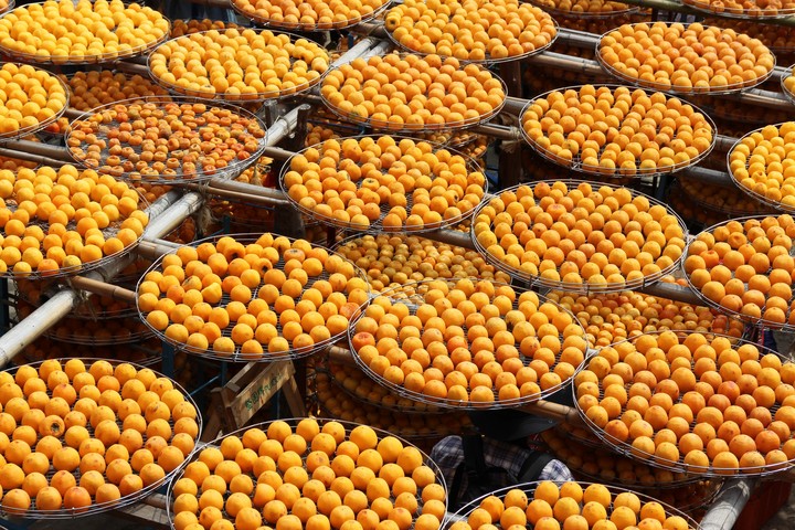 dried persimmon in Taiwan