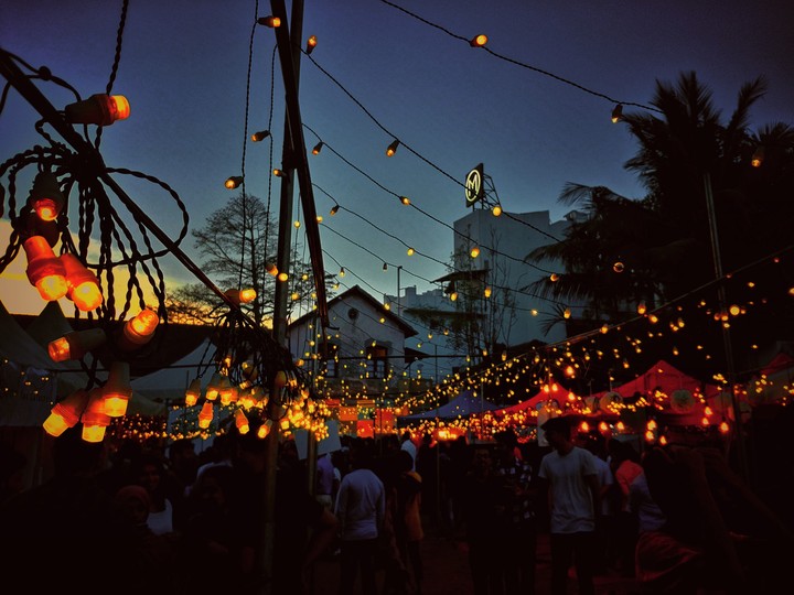 Flea lights
