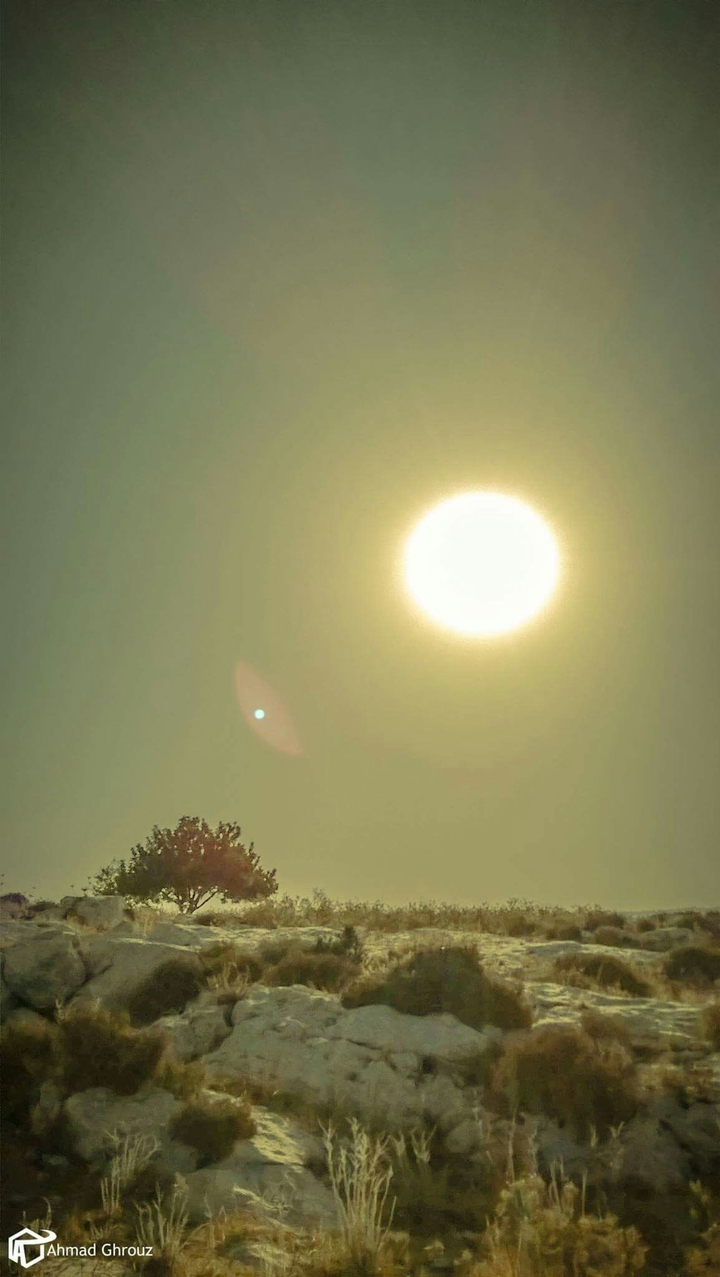 sky Palestine