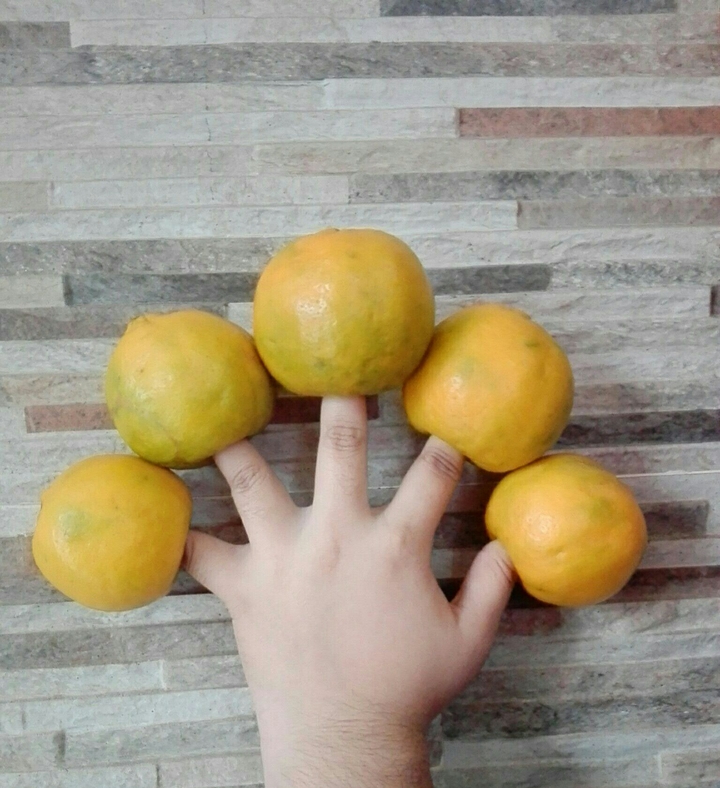 Orange Finger