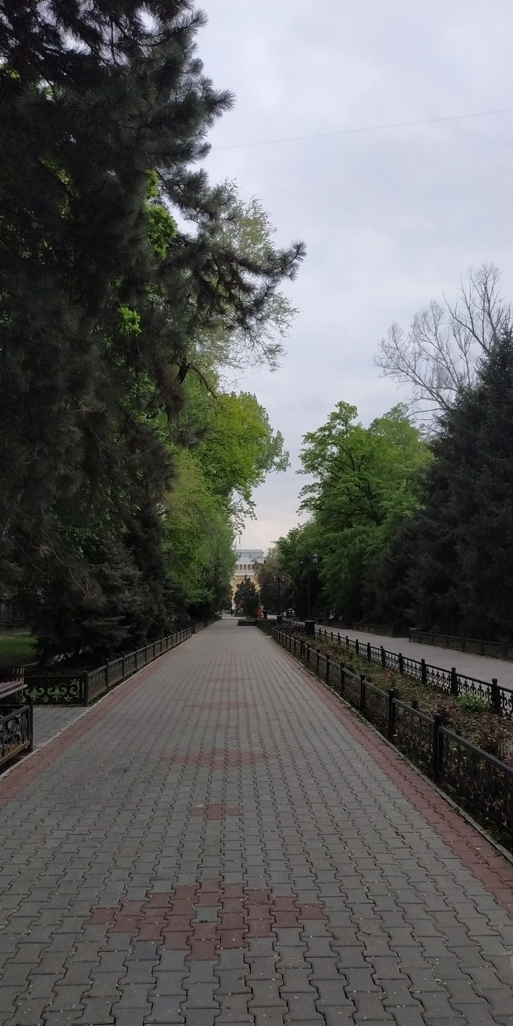 алея