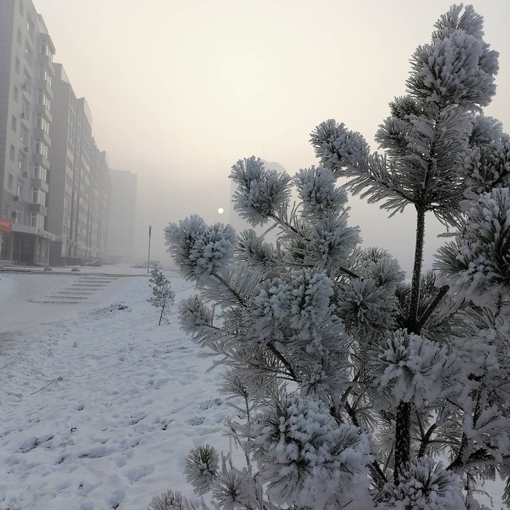 зимнее утро